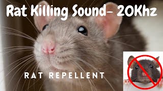 Anti Rat Repellent  Mouse Killer Sound  Very High Pitch Sound  20Khz  Kill Rats using mobile [upl. by Gnart]