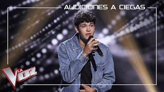 Javier Crespo canta Manos de tijera  Audiciones a ciegas  La Voz Antena 3 2022 [upl. by Anirdnaxela]