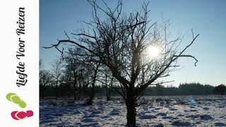 Nationaal Park De Hoge Veluwe  Wandeling in de Sneeuw [upl. by Angell]