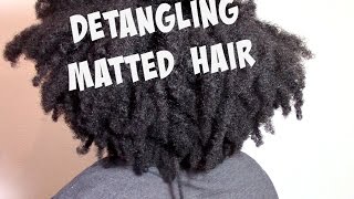 DETANGLING MATTED TANGLED DRY NATURAL HAIR [upl. by Aggie396]