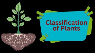 Classification  Classification of Plants STD 9 Biology New Syllabus [upl. by Akiraa982]