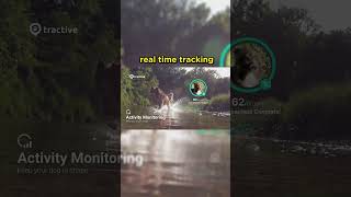 Dog GPS Tracker Monitor Activities dogs [upl. by Airamasor]