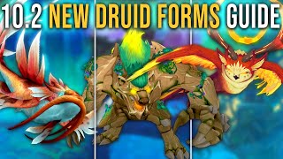 Complete Guide to All New Druid Forms in Patch 102 Guardians of the Dream WoW [upl. by Buehler]