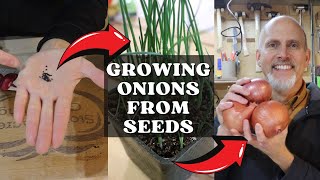 How to Start Onion Seeds Indoors 🌱🧅👨🏻‍🌾 [upl. by Caesar765]