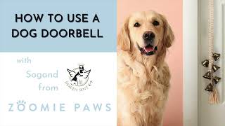 How to Use a Dog Doorbell Instructional Video from Zoomie Paws and Heaven Sent K9  Sogand [upl. by Havelock]