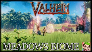 Valheim  Meadows Biome  Starting Tips [upl. by Siubhan28]