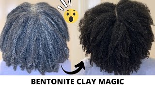 How to use Bentonite Clay on Natural Hair  The ONLY VIDEO YOU NEED TO WATCH  Aztec Bentonite Clay [upl. by Leiuqese]