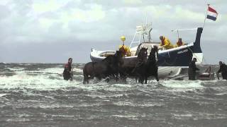 Demonstratie Paardenreddingboot Ameland [upl. by Iba]