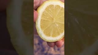 ZitronenKnoblauchHähnchen Einfach schnell amp unglaublich lecker 🍋🔥 [upl. by Philip472]