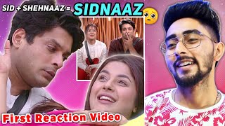 Sidharth  Shehnaaz  Sidnaaz Bigg Boss 13 First Reactio Video Sidharth Shukla and Shehnaaz Gill [upl. by Ahsi]