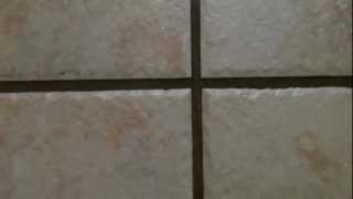 Cleaning Tip How to Clean Tile Grout  Easy best way  no harsh chemicals [upl. by Jacoby]