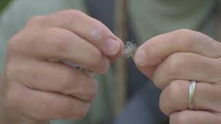 How to Treat a Dry Fly  Tom Rosenbauer [upl. by Lambard]