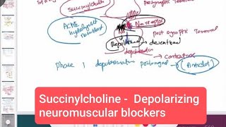 Succinylcholine  Depolarizing neuromuscular blockers neurology 170  First Aid USMLE Step 1 [upl. by Hughmanick]