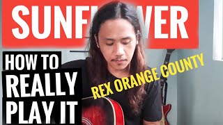 REX ORANGE COUNTY  Sunflower Guitar Chords Tutorial  how to play Sunflower by Rex Orange County [upl. by Ardnot]