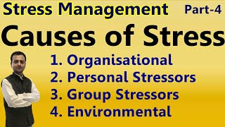 Causes of StressOrganisational Stressors Personal Stressors Group Stressors Environmental Stressors [upl. by Russom]