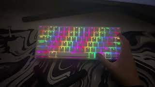 Testing my rk61 keyboard [upl. by Aliel15]