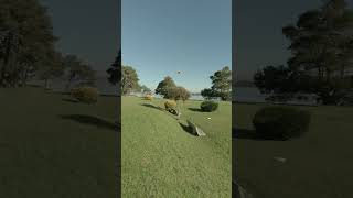 POV Flying BetaFPV Cetus X  VLOS  FPV Drone [upl. by Fonsie]