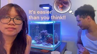 WE MADE A NANO NOFILTER REEF TANK FOR SOME CLOWNFISH Nano Reef Ep 1 hardscape and fish [upl. by Eustashe998]