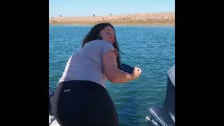 Wild Dolphin at Whyalla Jetty [upl. by Onaicilef]