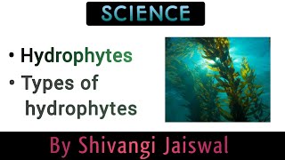 Hydrophytes and types of hydrophytes [upl. by Sylram]