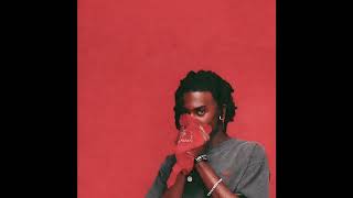 Playboi Carti  V Westwood [upl. by Lirva]