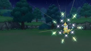 I Found a Shiny Buizel in Shining Pearl Version after 11837 Encounters  SP SBQ 4 [upl. by Skerl]