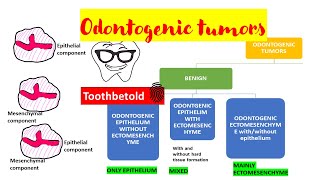 Odontogenic tumors  Overview  Classification [upl. by Ezarras]