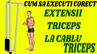 Extensii triceps la cablu  Cum sa executi corect [upl. by Kalbli418]