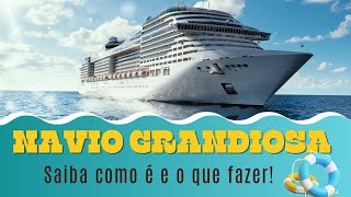 NAVIO GRANDIOSA MSC CRUZEIRO DICAS DE VIAGEM EM UM CRUZEIRO viajar cruzeiro [upl. by Asset556]