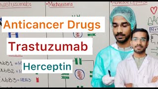 Trastuzumab Herceptin  Anticancer Drugs [upl. by Samanthia]