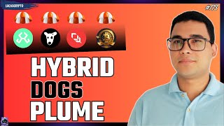 ATUALIZANDO AIRDROPS  PLUME HYBRID DOGS [upl. by Enelear]