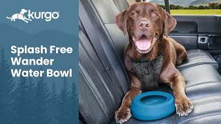 The SplashFree Wander Water Bowl  Nospill travel bowl for dogs [upl. by Collum903]