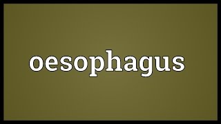 Oesophagus Meaning [upl. by Groh]