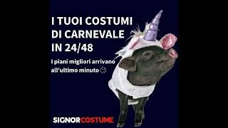 Costumi da Carnevale  Adulti [upl. by Tneicniv]