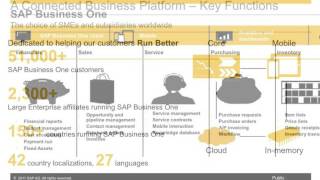 Vestrics Solution Leading Providers of SAP Business One [upl. by Randolph]