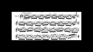 Caprice 24  Paganini  Kreisler [upl. by Sheldon469]