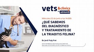 42ES “¿Qué sabemos del diagnóstico y tratamiento de la triaditis felina” [upl. by Ynohta]