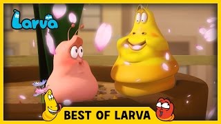 LARVA  BEST OF LARVA  Cartoons  Comics  LARVA 2017 WEEK 14 [upl. by Aknahs140]