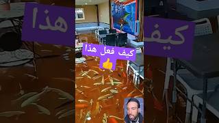 ارضيه المقهى اصبحت حوض المغرب hakimzyach حكيمزياش المنتخبالمغربي wweshortshakimitiktok [upl. by Leroy410]