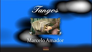 Marcelo Amador  Tangos 2015 [upl. by Enaelem]