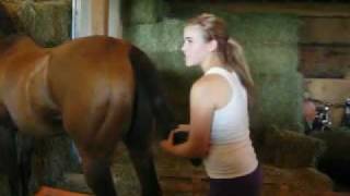 How To Wrap Your Horses Tail  With Special Guest EquitationPrincess [upl. by Krystle70]