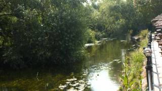 George Butterworth  Banks of Green Willow [upl. by Babette519]