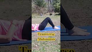 Get a Toned Tummy🧘‍♀️ Transverse Abdominus Easy Exercises❤️ fitness yoga pelvicfloorhealth [upl. by Ekihc356]