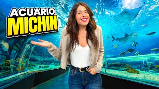 El ACUARIO más GRANDE de Latinoamérica en CDMX MEXICO 4K [upl. by Happy]