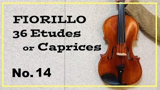 Etude ChallengeFIORILLO 36 Etudes or Caprices No14 [upl. by Ewold]