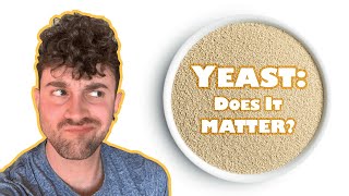 Does sizeer yeast matter BREAD yeast vs WINE yeast [upl. by Eanrahs]