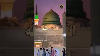 OwaisRazaQadri Aaye Aaqa Madni Aaqamuhammadﷺ naat naatshareef madinah explore reels viral [upl. by Norrabal]