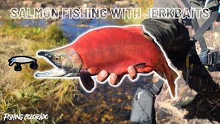 Kokanee Salmon Jerkbait Fishing [upl. by Kerr]