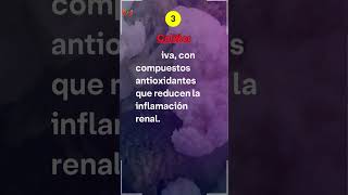 LOS 7 MEJORES Alimentos NATURALES Para La Salud De La Función Renal [upl. by Kalindi]