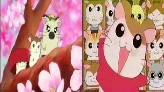 ✧•♡Hamtaro 1999 Japanese Opening Song  Tottoko Hamutaro♡• [upl. by Enylcaj]